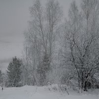 Холодный туман :: Сергей Шаврин