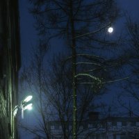 Утро с фонарём и луной. :: Анатолий. Chesnavik.