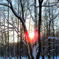 Мороз и солнце :: Андрей Снегерёв