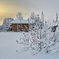 Снег, мороз и солнце :: Юрий Митенёв