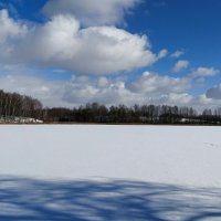 Картинка зимы (из поездок по области). :: Милешкин Владимир Алексеевич 