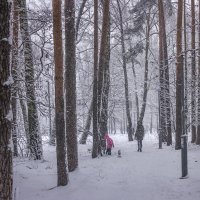 Тихо падал снег. :: Петр Беляков