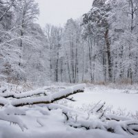 Завируха мяце, завируха :: Валерий VRN