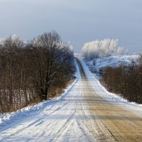 По зимней дороге. :: Милешкин Владимир Алексеевич 