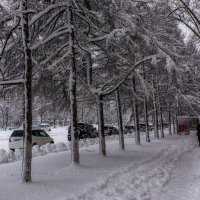 После снегопада. :: Виктор Иванович Чернюк
