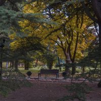 Осень в парке  Гагарина :: Валентин Семчишин