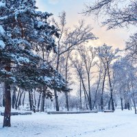 В зимнем парке вечером. :: юрий Амосов