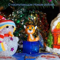 С наступающим Новым годом, друзья! :: Галина Кан