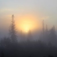 Восход в густом тумане :: Сергей Чиняев 