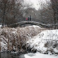 Зима на юге Москвы. :: Борис Бутцев