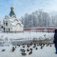 Про Питер :: Владимир Колесников