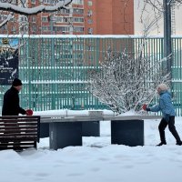 Пинг - понг в любое время года. :: Татьяна Помогалова