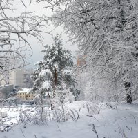 "А за городом зима, зима, зима..." :: Владимир Безбородов