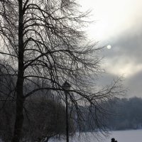 Мороз и Солнце. :: Александр Сергеевич 