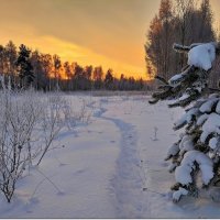 По тропинке на закат :: Вячеслав Минаев