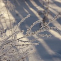 Под снежной бахромой... :: Нэля Лысенко