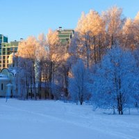 Морозное утро. :: Милешкин Владимир Алексеевич 