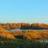 Осень на Введенском  ручье :: Сергей Кочнев