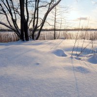 Под белым покрывалом декабря. :: Люба 