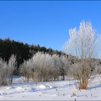Зимний пейзаж :: Фотолюб *