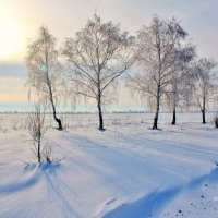 С НАСТУПАЮЩИМ НОВЫМ ГОДОМ! :: Восковых Анна Васильевна 