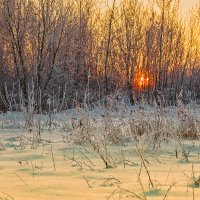 Зимний закат :: Mikhail Andronikov