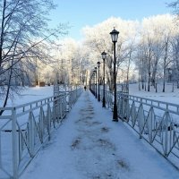 Городской парк в декабре. :: Милешкин Владимир Алексеевич 