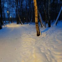 Вечера были упоительны :: Андрей Лукьянов