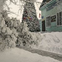 Новогодняя сказка Сибири :: Сергей Шаврин