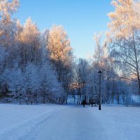 Картинка зимы. :: Милешкин Владимир Алексеевич 