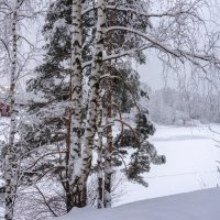 "А за городом зима, зима, зима..." :: Владимир Безбородов