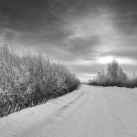 Зимняя дорога :: Эдуард Кокозов