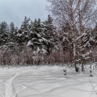 Хмурое утро первого января :: Андрей Дворников