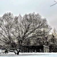 Наш парк :: Анатолий Колосов