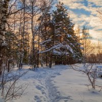 Морозное утро второго января :: Андрей Дворников