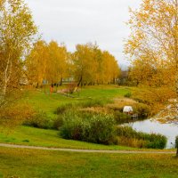 Фарбы восені :: Сергей 