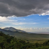Саванна... Танзания! :: Александр Вивчарик