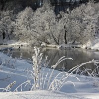 Зима :: Анна Скляренко