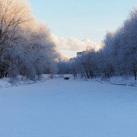 Зимний парк. :: Милешкин Владимир Алексеевич 