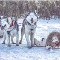 Уронили, человеческого детеныша))))) :: Дмитрий Колесников