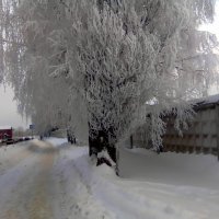 Пешком по Орехово-Зуеву :: Игорь Чуев