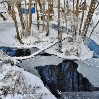 Родниковая речка Калмычок у села Октябрьское Воронежской области. :: Восковых Анна Васильевна 