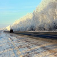 Медленно в гору... :: Нэля Лысенко