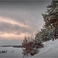 "Катание на хвойном берегу"© :: Владимир Макаров