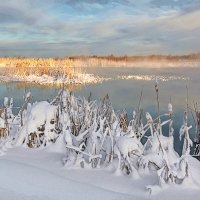Тёплый пруд в морозный день :: Юрий Митенёв