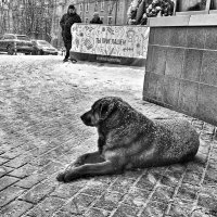 Одиночество.. :: Алексей Архипов