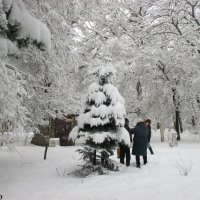 Зима в Ростове :: Нина Бутко