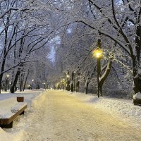 Зима в парке на Речном :: Александр Орлов