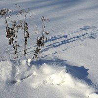 на 4 стороны света :: Олег Лукьянов