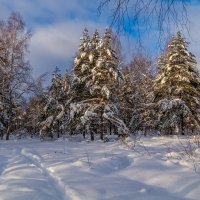 Морозное утро второго января # 03 :: Андрей Дворников